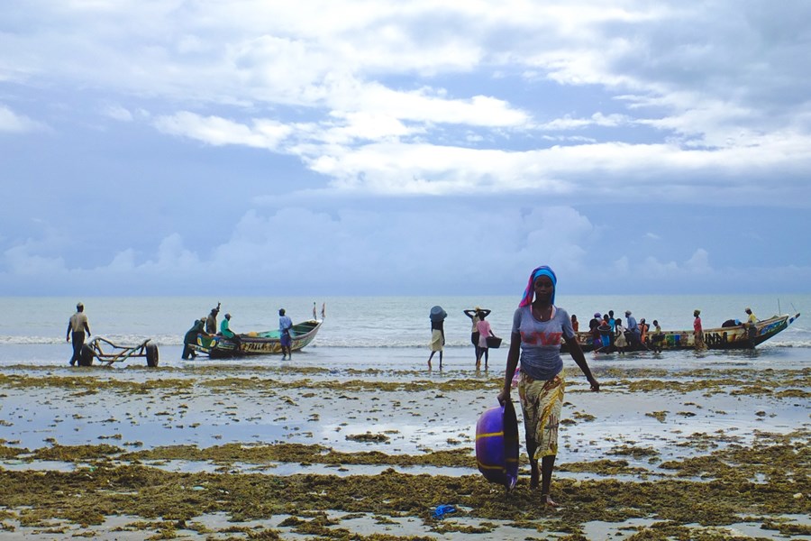 Caroljobe - Lifestyle Gambia Paisaje Pescadores
